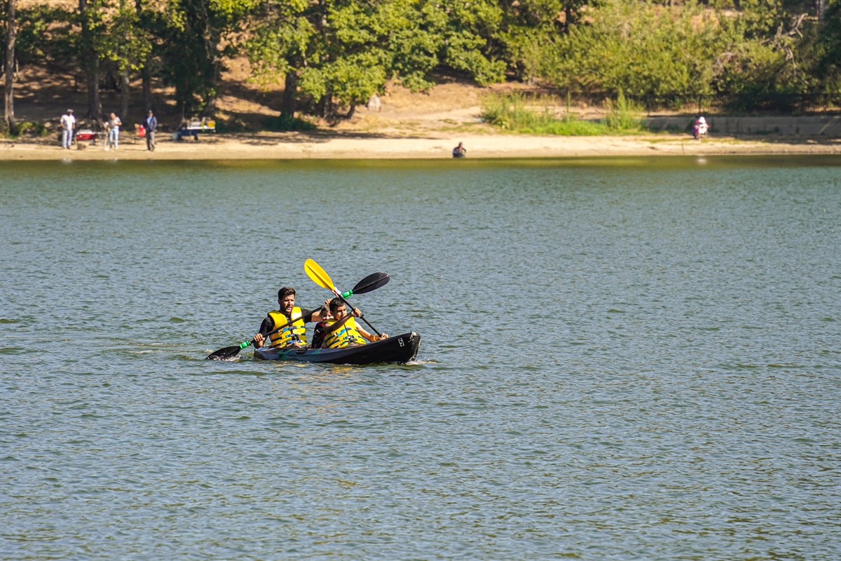 Fallen Timber Here & Now Destinations