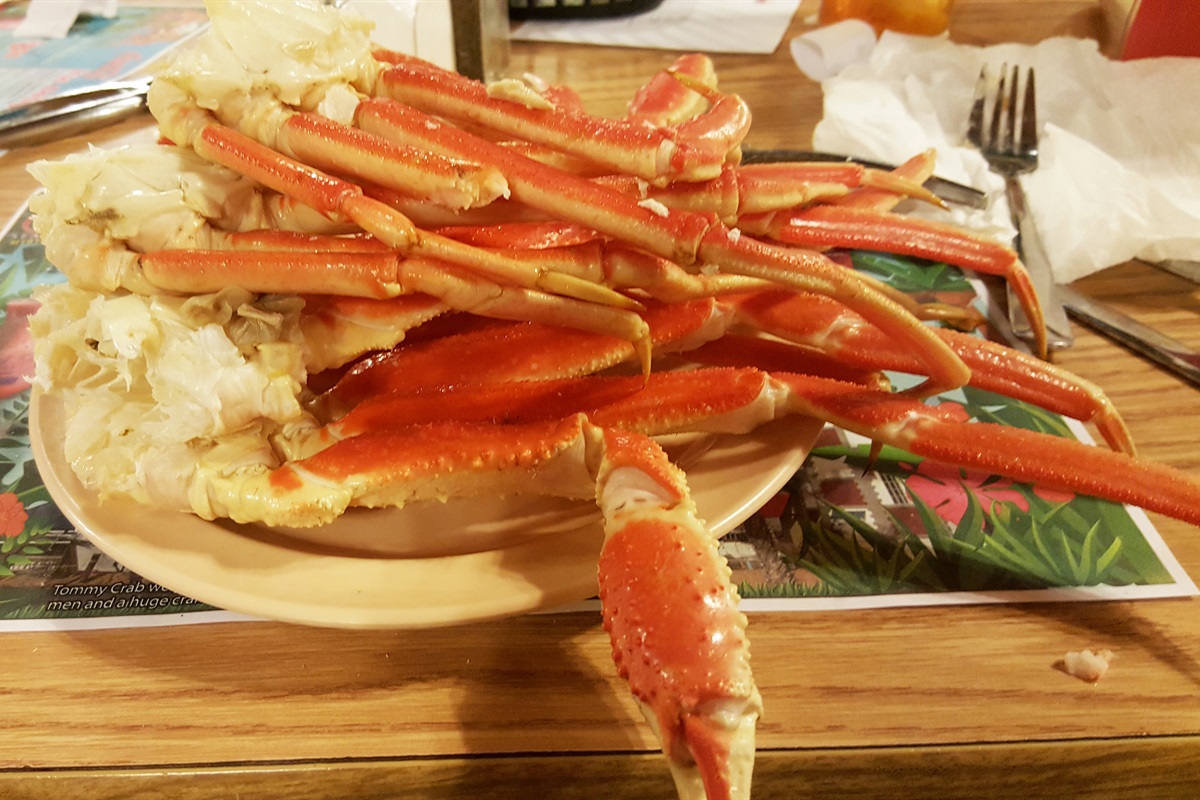 Beach Colony 1608 3 Bedroom Big Fish Rentals