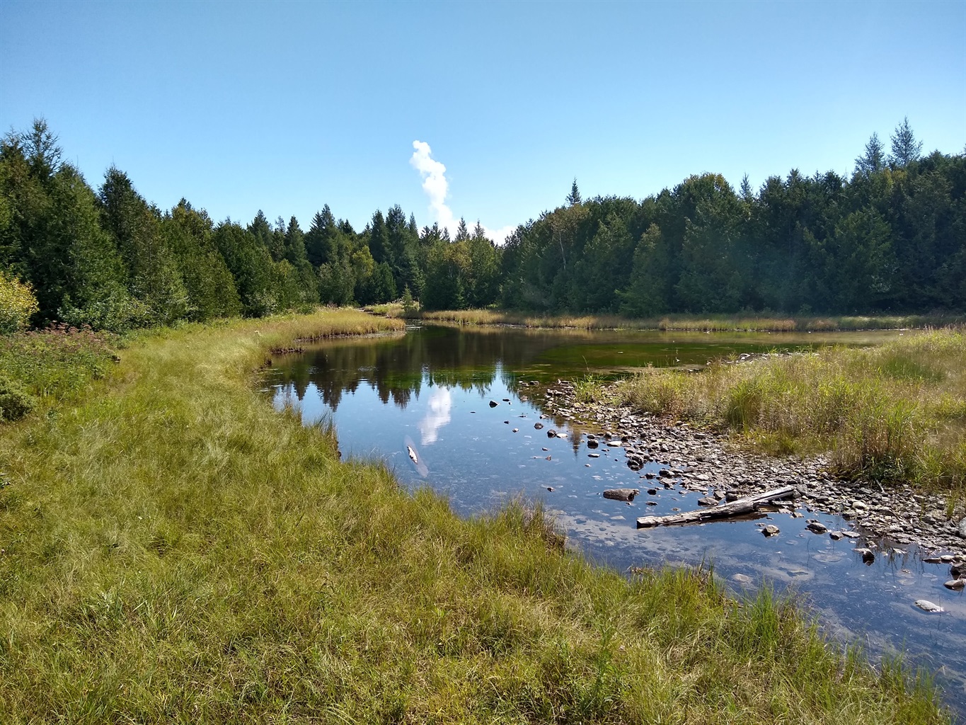 Three Spring Nature Preserve The Refuge Log Home