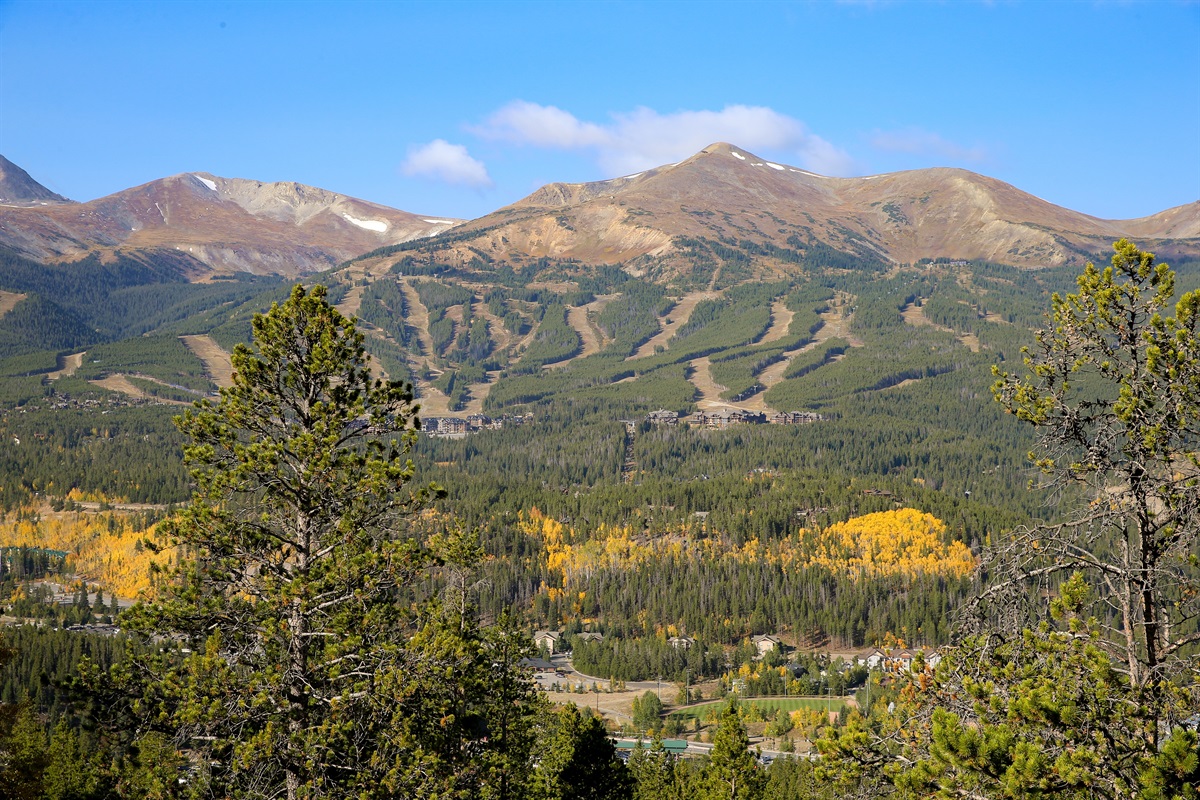 White Cloud Outpost Alpine Outposts