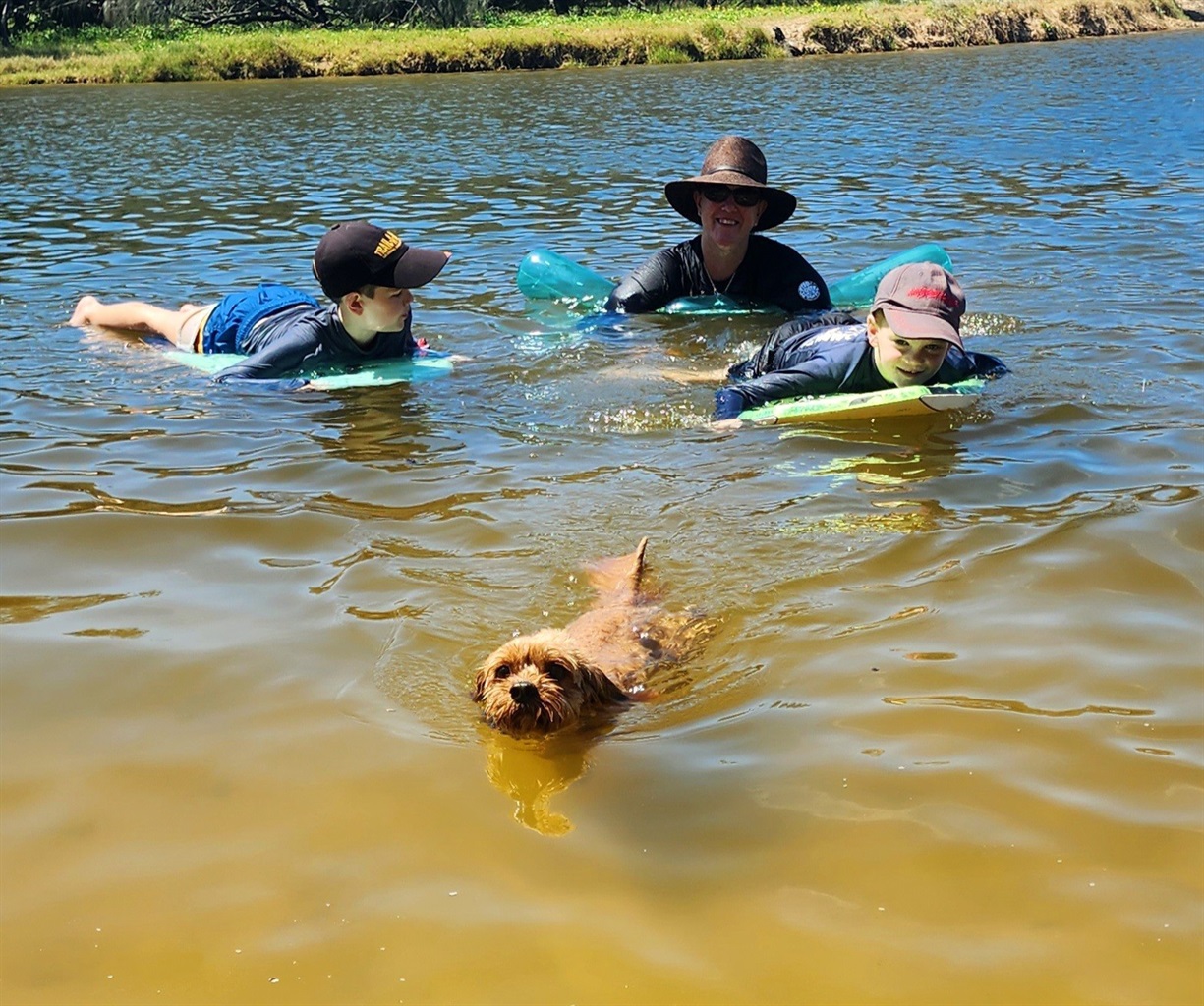 Best Off Leash Dog Beach on the Sunshine Coast Dicky Beach Original