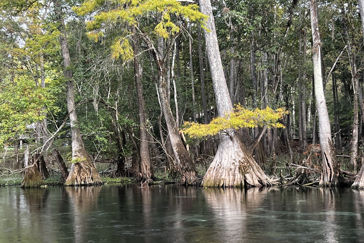 The Tipsy Turtle Ichetucknee Springs Riverfront Recharge Vacation Rentals