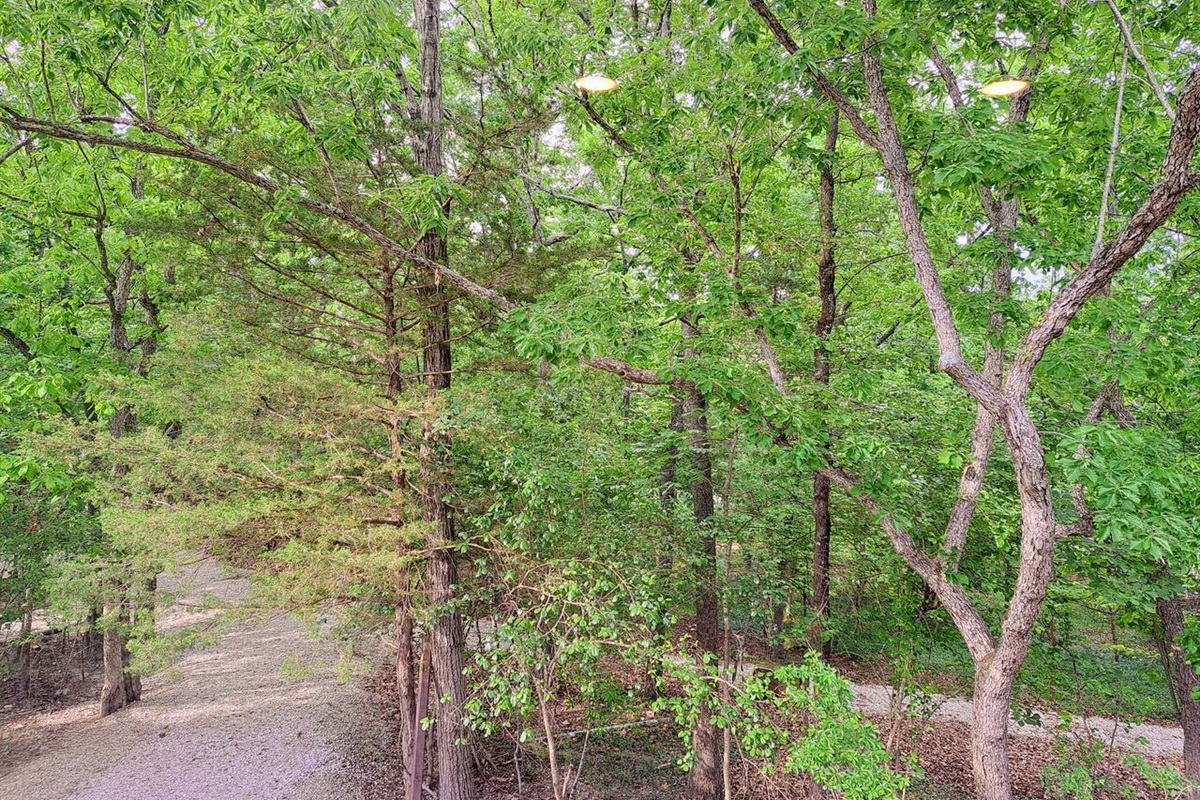 Timber Point 5 Timber Point