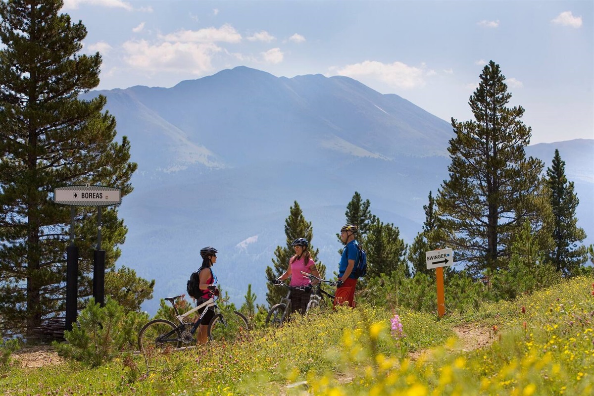 White Cloud Outpost Alpine Outposts