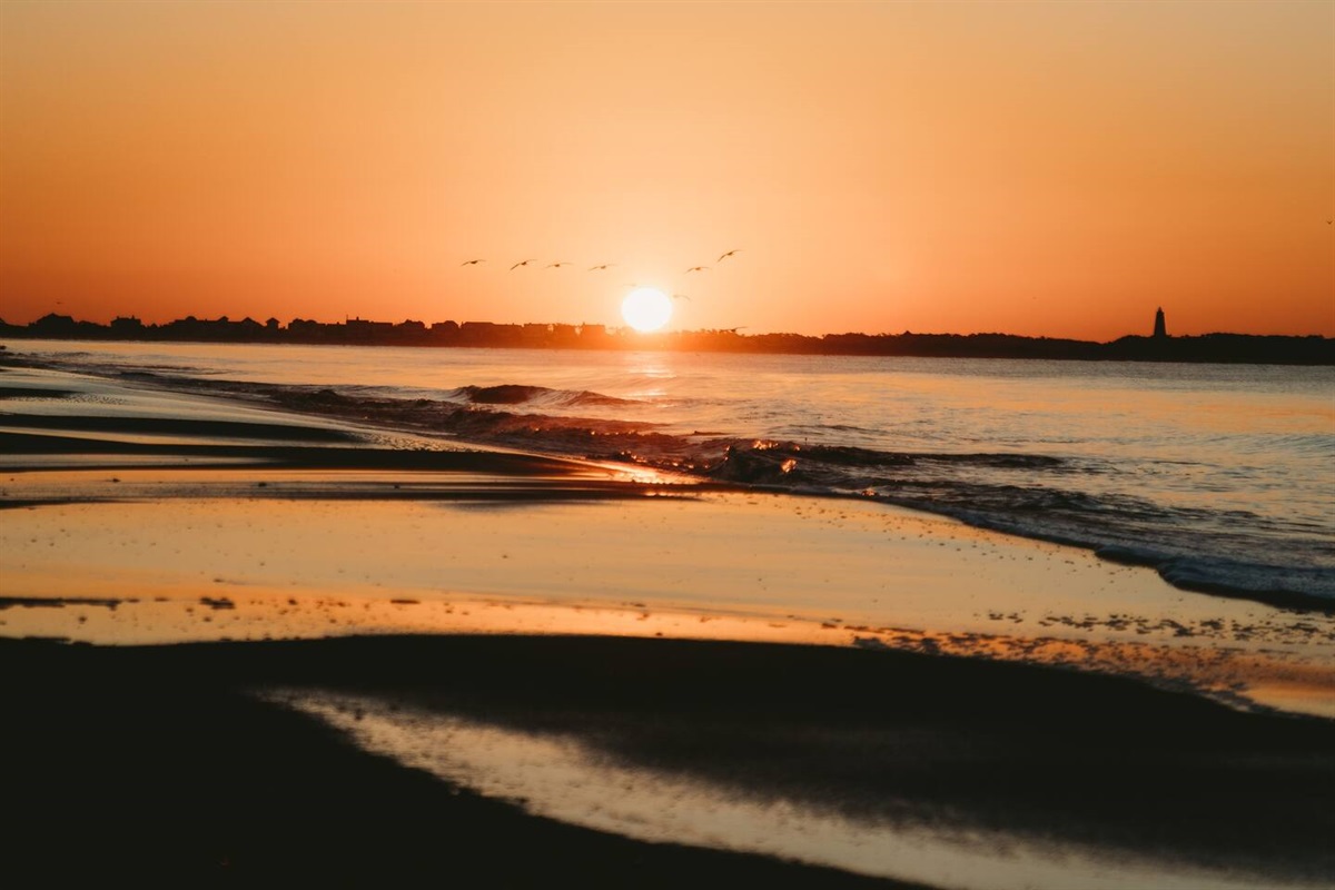 Are Dogs Allowed On Oak Island Beach