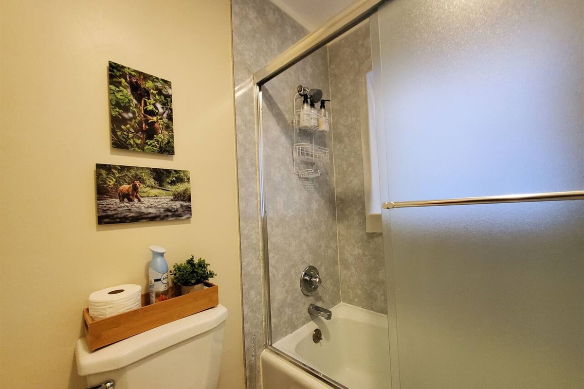 Updated Duplex with Mountain & Filtered Water View Juneau Vacation Homes