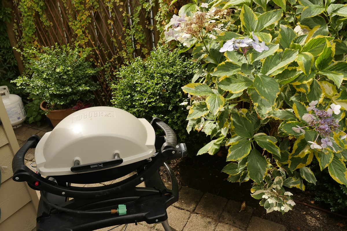 Home Ferry Walk House