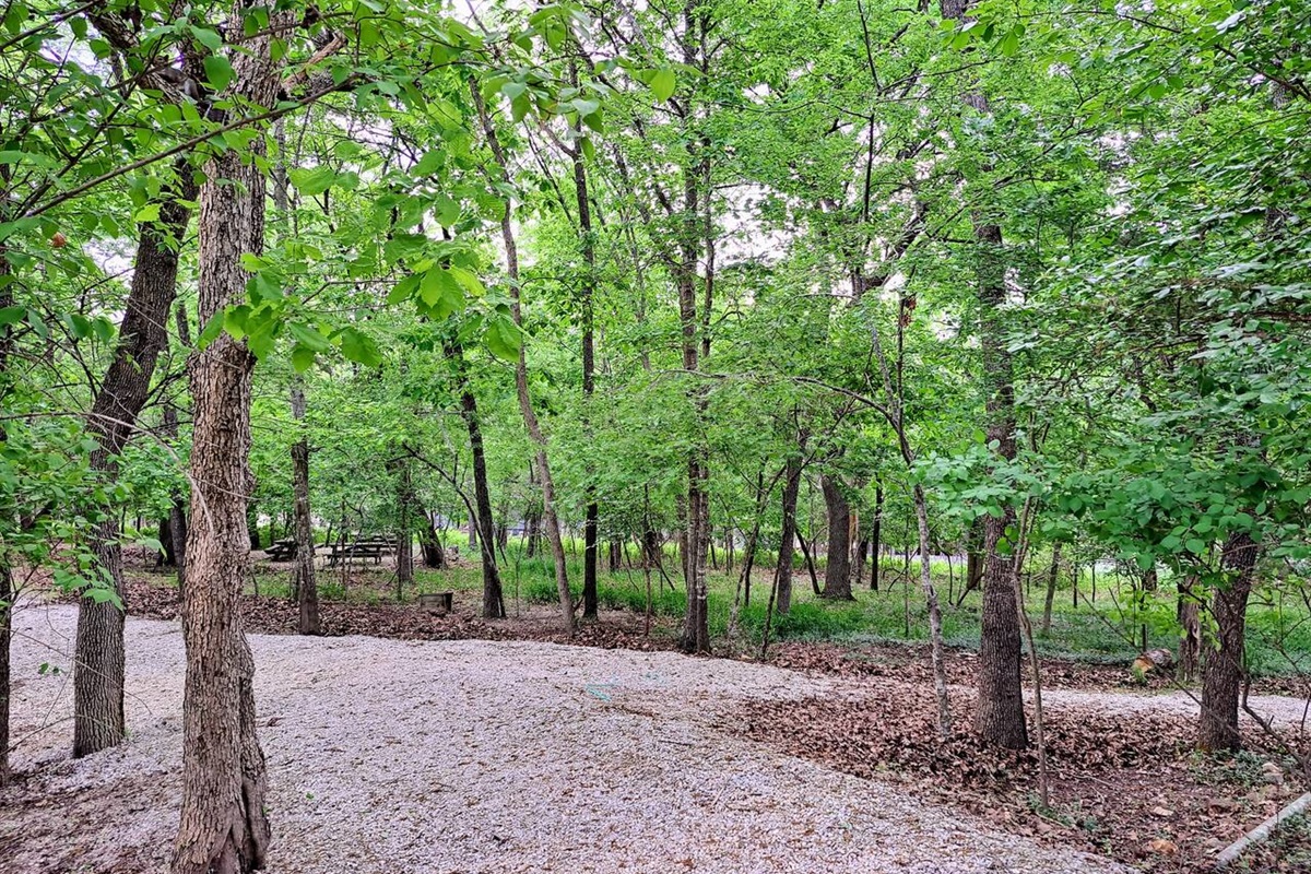 Timber Point 5 Timber Point