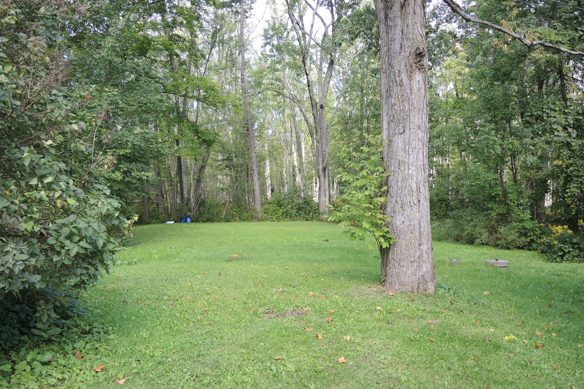 Trout Brook Unit 3 Cooperstown Stay