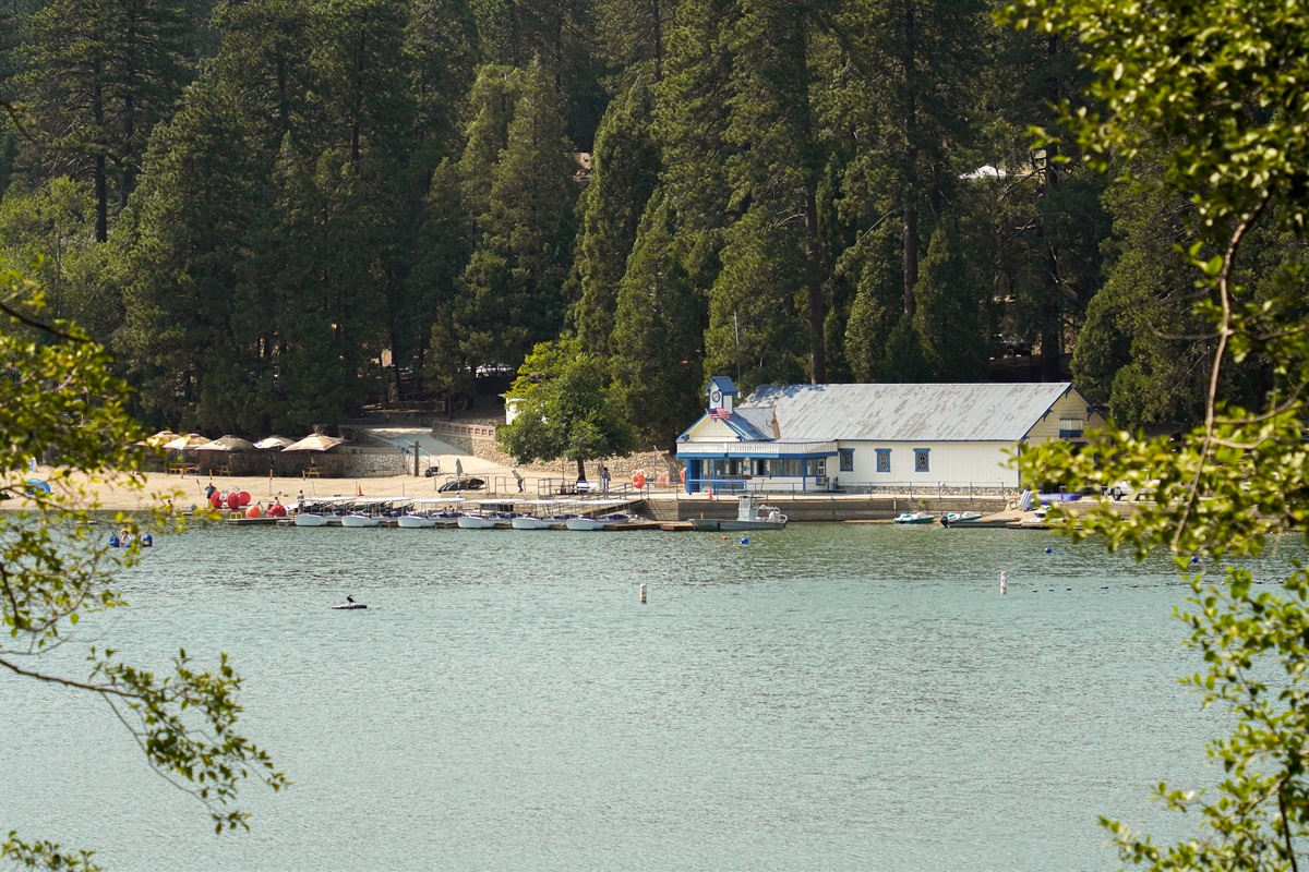 Fallen Timber Here & Now Destinations