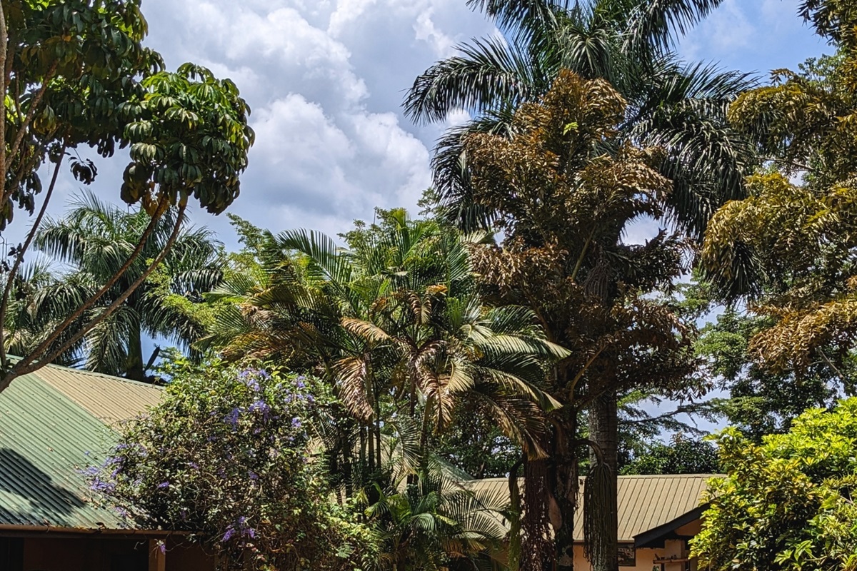 Nile Sunset Villa Nile Garden Lodging