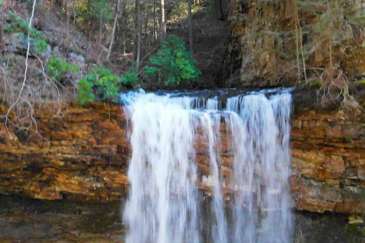 Deciduous Dreams at The Retreat at Deer Lick Falls Retreat Vacations