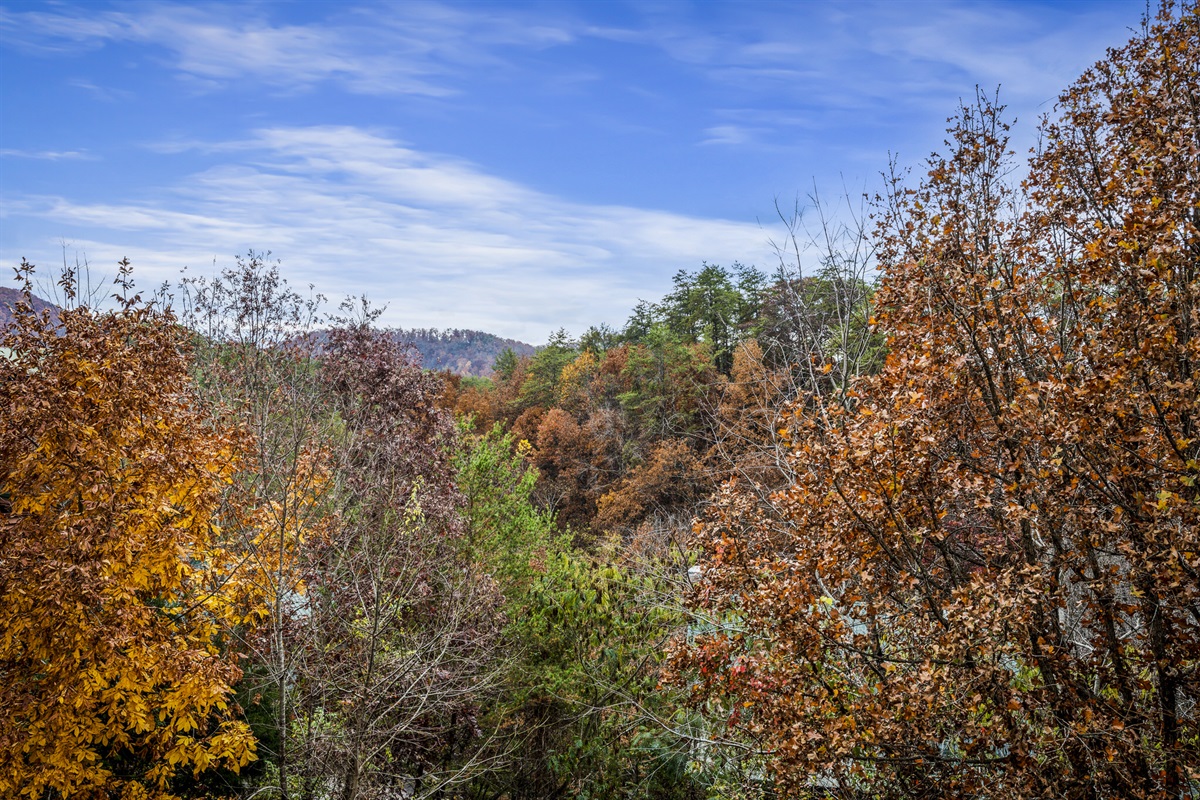 The Cardinal's Roost Driveable Destinations