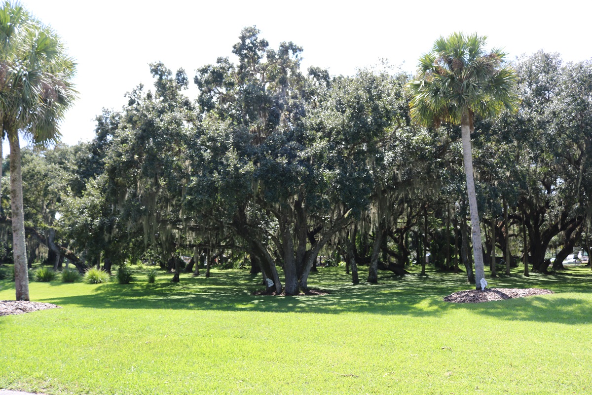 River Ranch Site 132 * RESORT River Ranch Sites 435,377,364,311,132