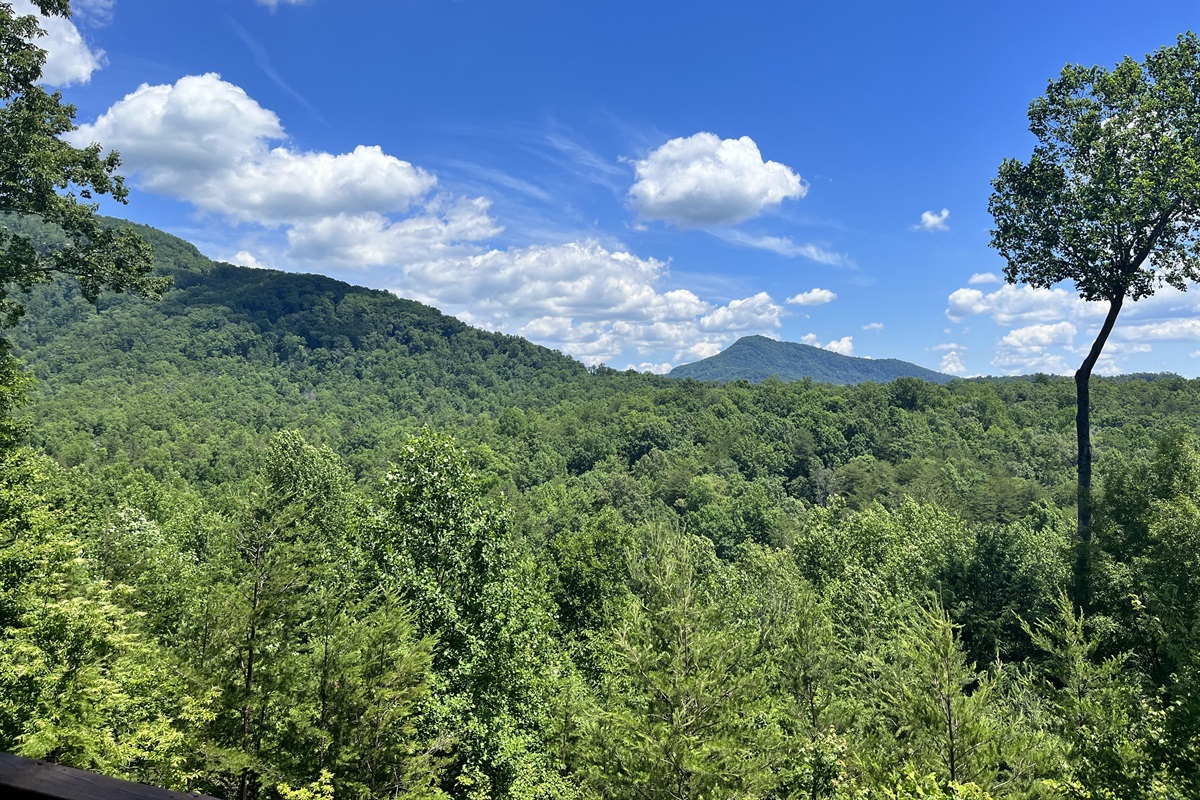 Ridgetop Landing Carolina Properties