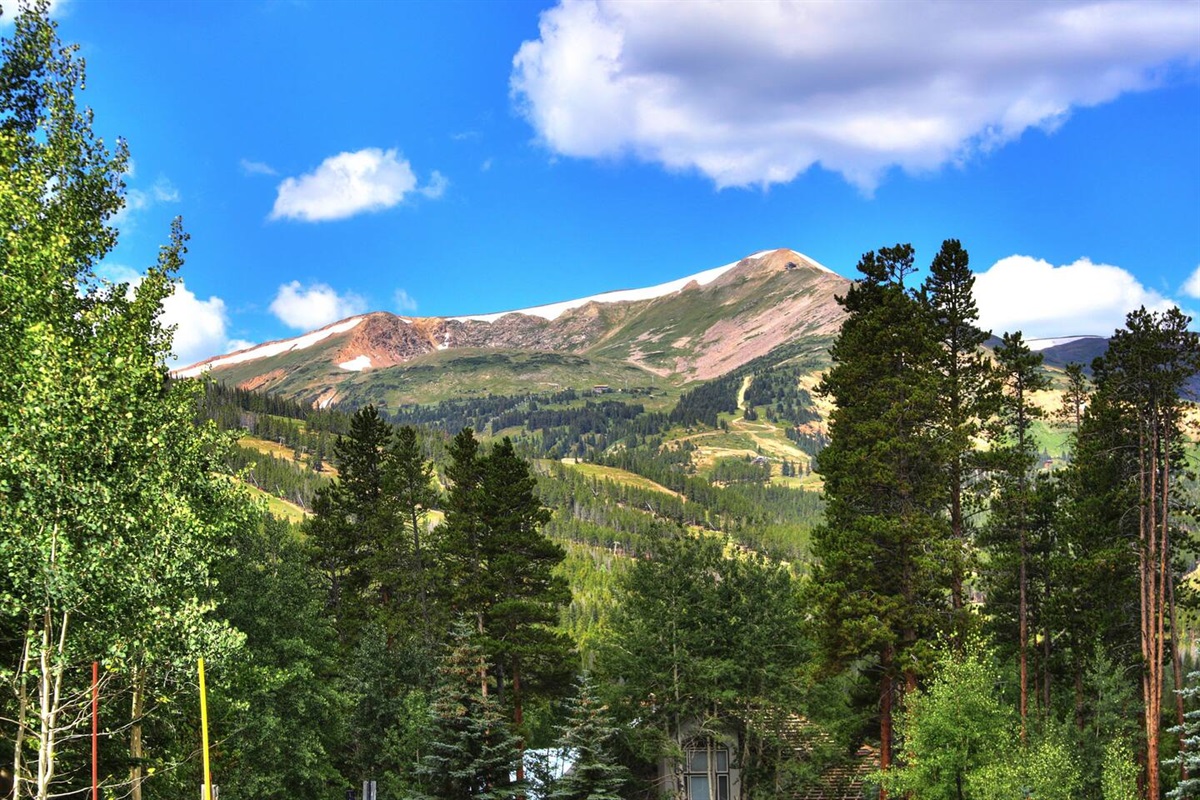 White Cloud Outpost Alpine Outposts