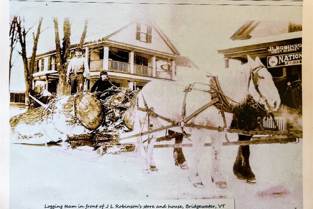 Snowed Inn of Bridgewater by Killington&Woodstock Southern Vermont Stays