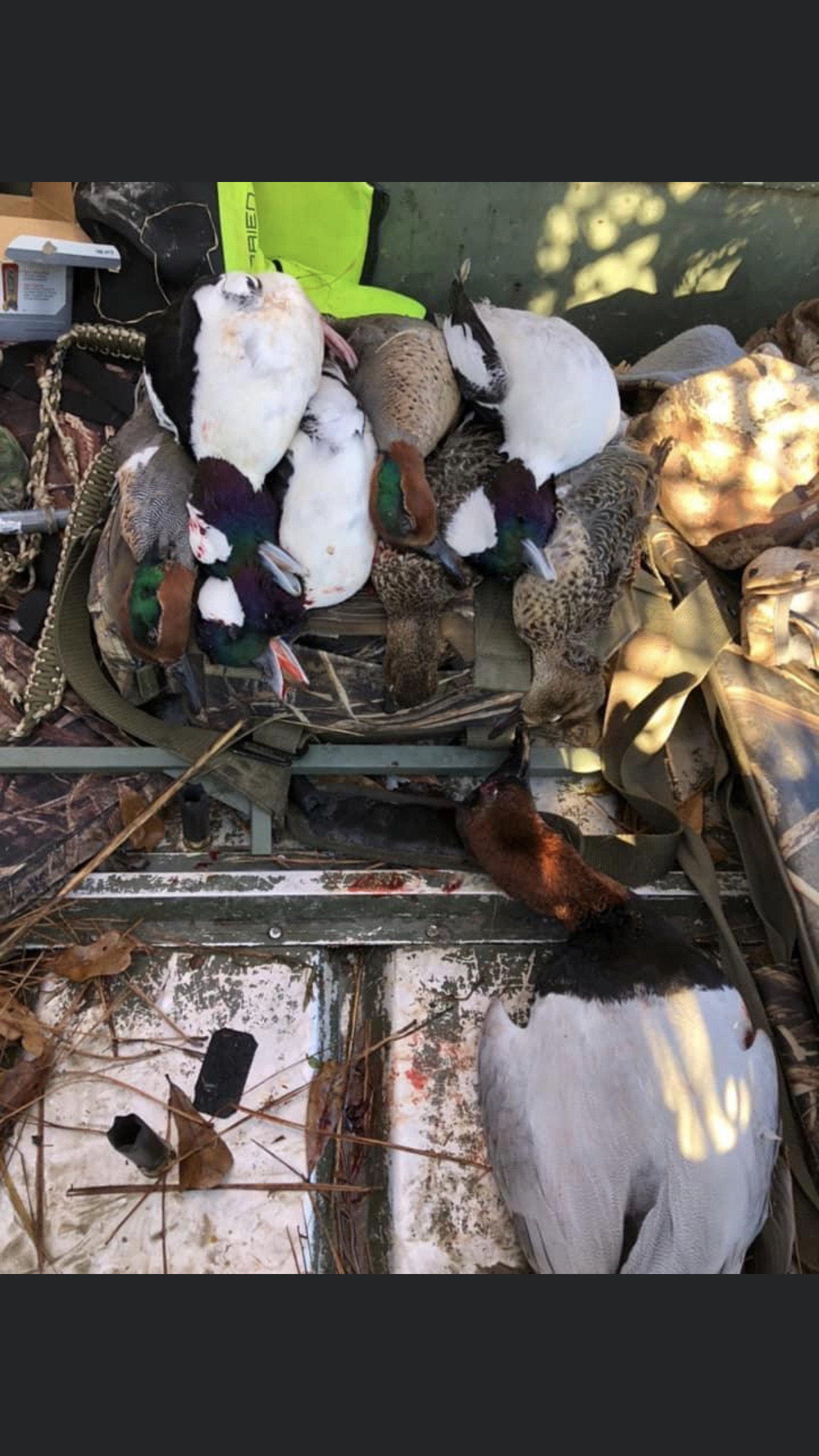 Best Louisiana Guided Duck Hunts Mallard Bay