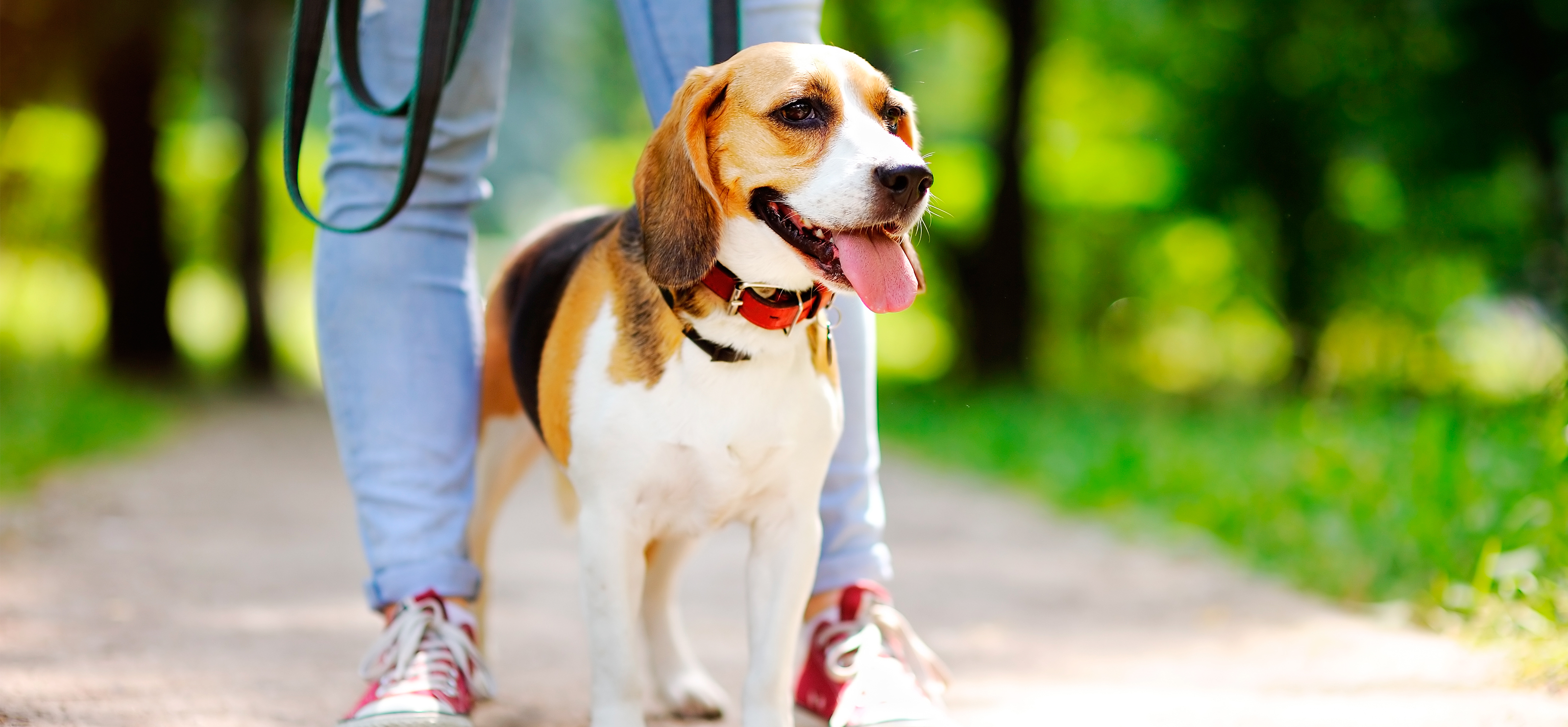 UC Barkley Pet Resort faq