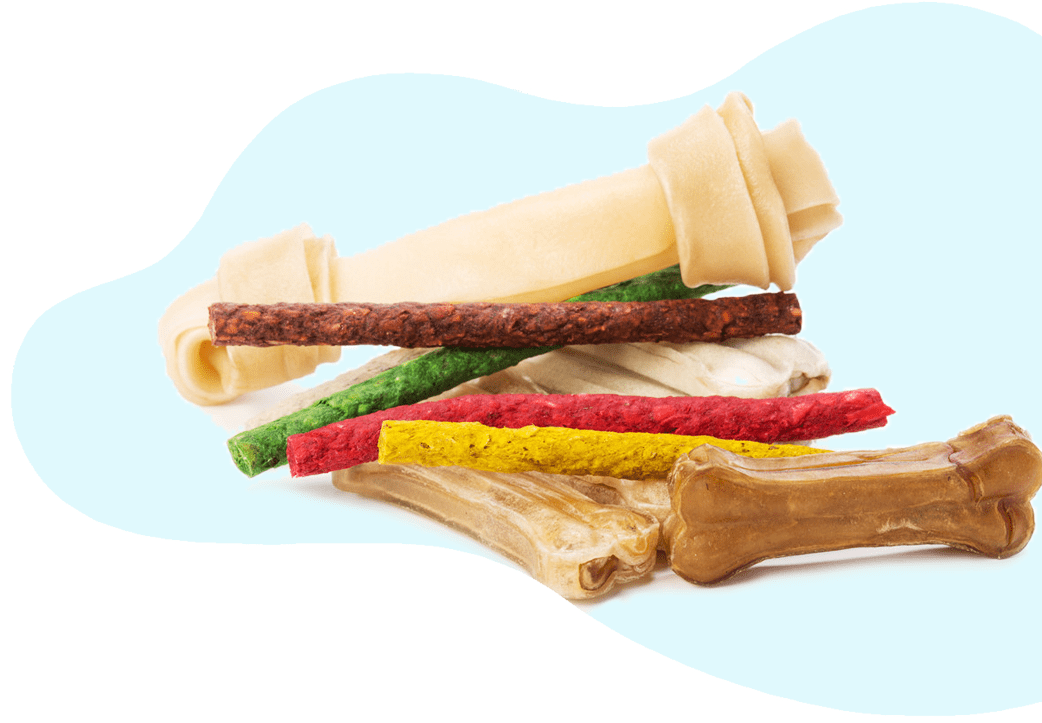 Shop UC Barkley Pet Hotel & Grooming