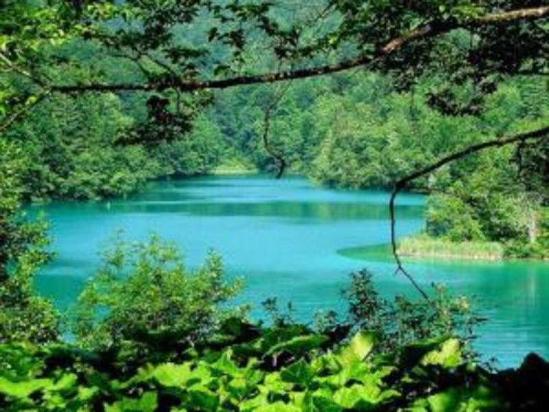 Plitvice House in Plitvice Lakes, Croatia Book B&B's with