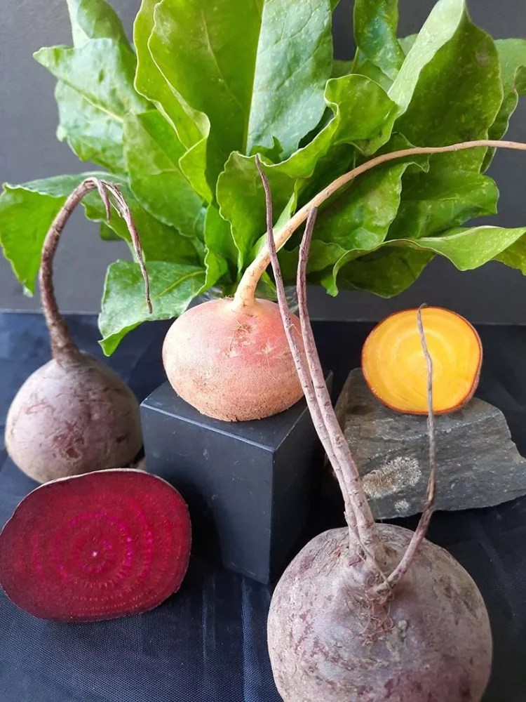 Beet recipes quickpickled or red velvet cake UCHealth Today