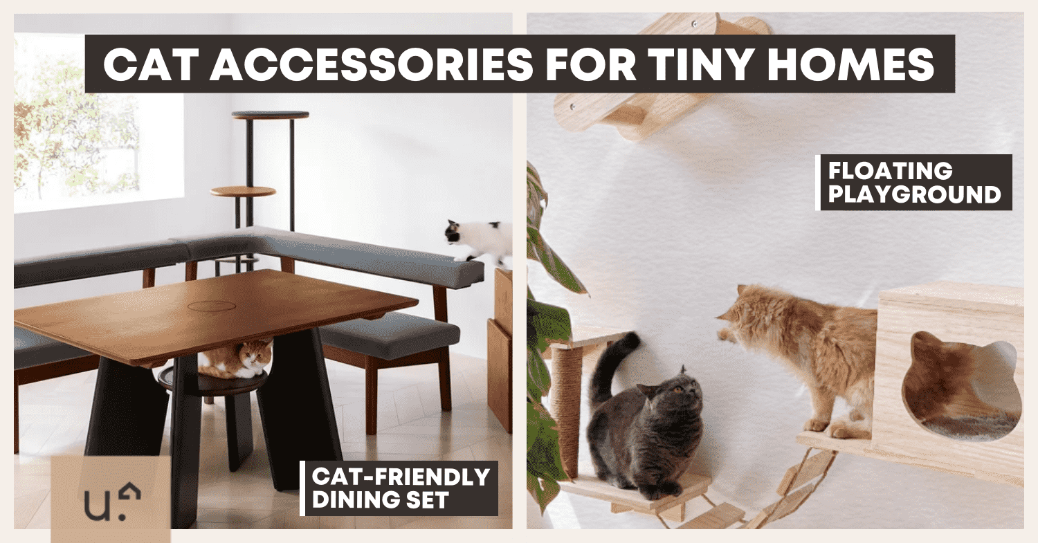 7 Best Cat Accessories To Buy Now That Cats Are Allowed In HDBs