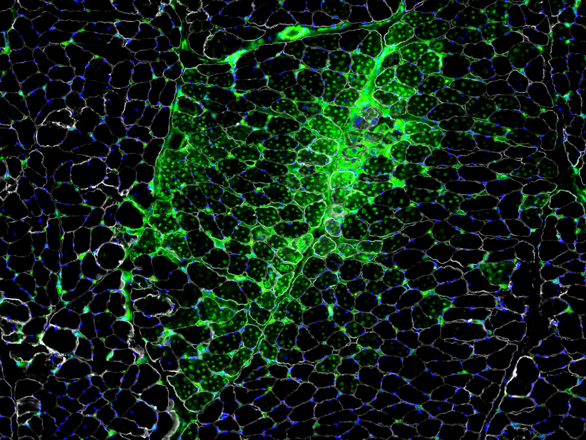 UCI CME Learning Portal Continuing Education