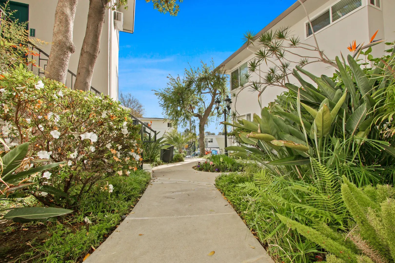 Levering Apartments UCLA Off Campus Housing