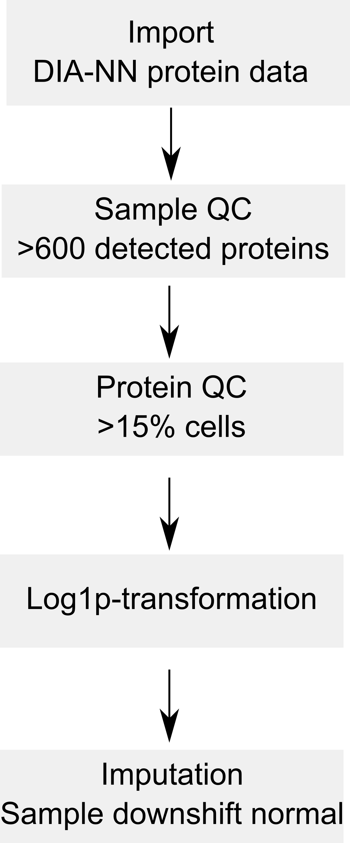 Replication of the cell cycle state study (Brunner et al. 2021) • SCP