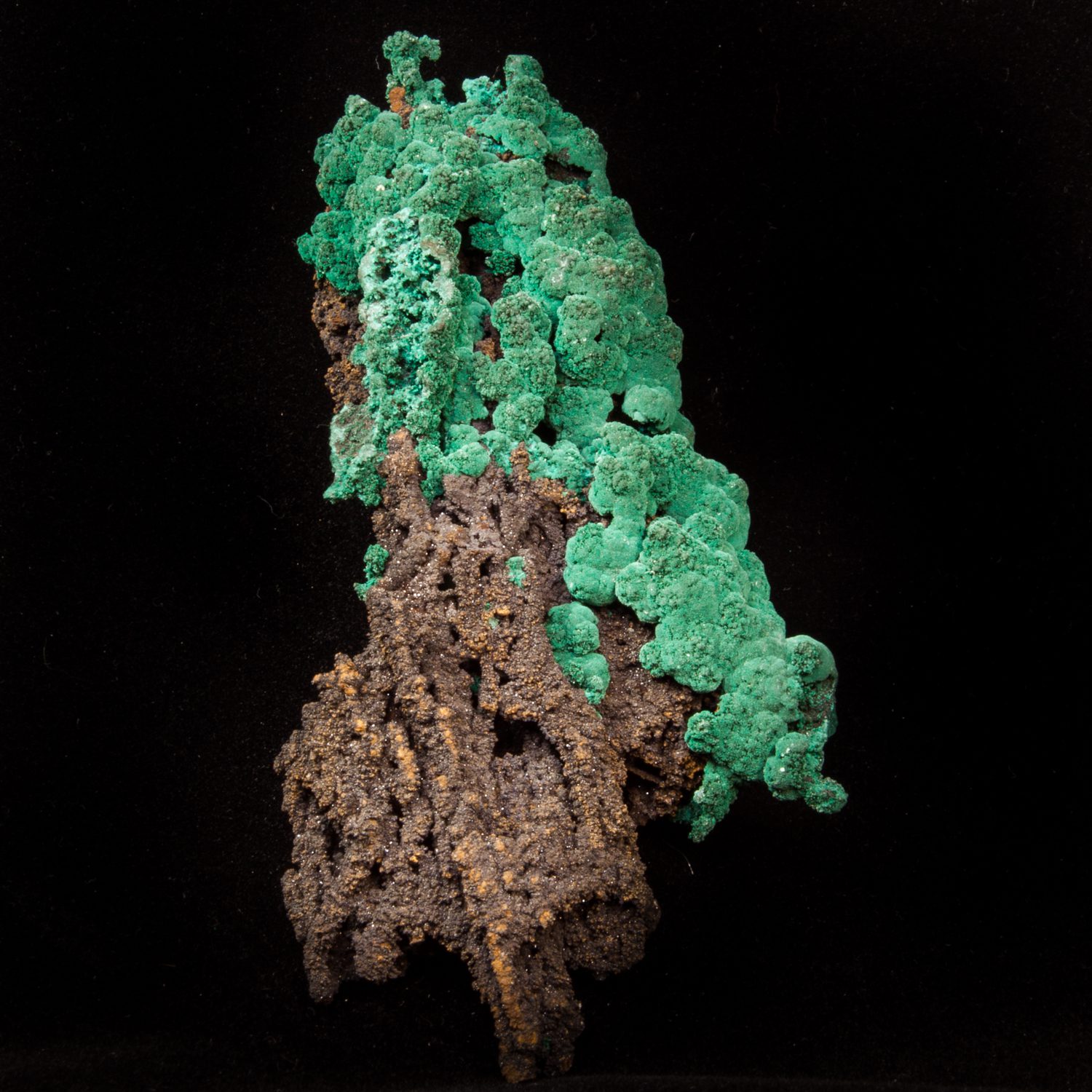 Malachite Fine Mineral Specimen for Sale
