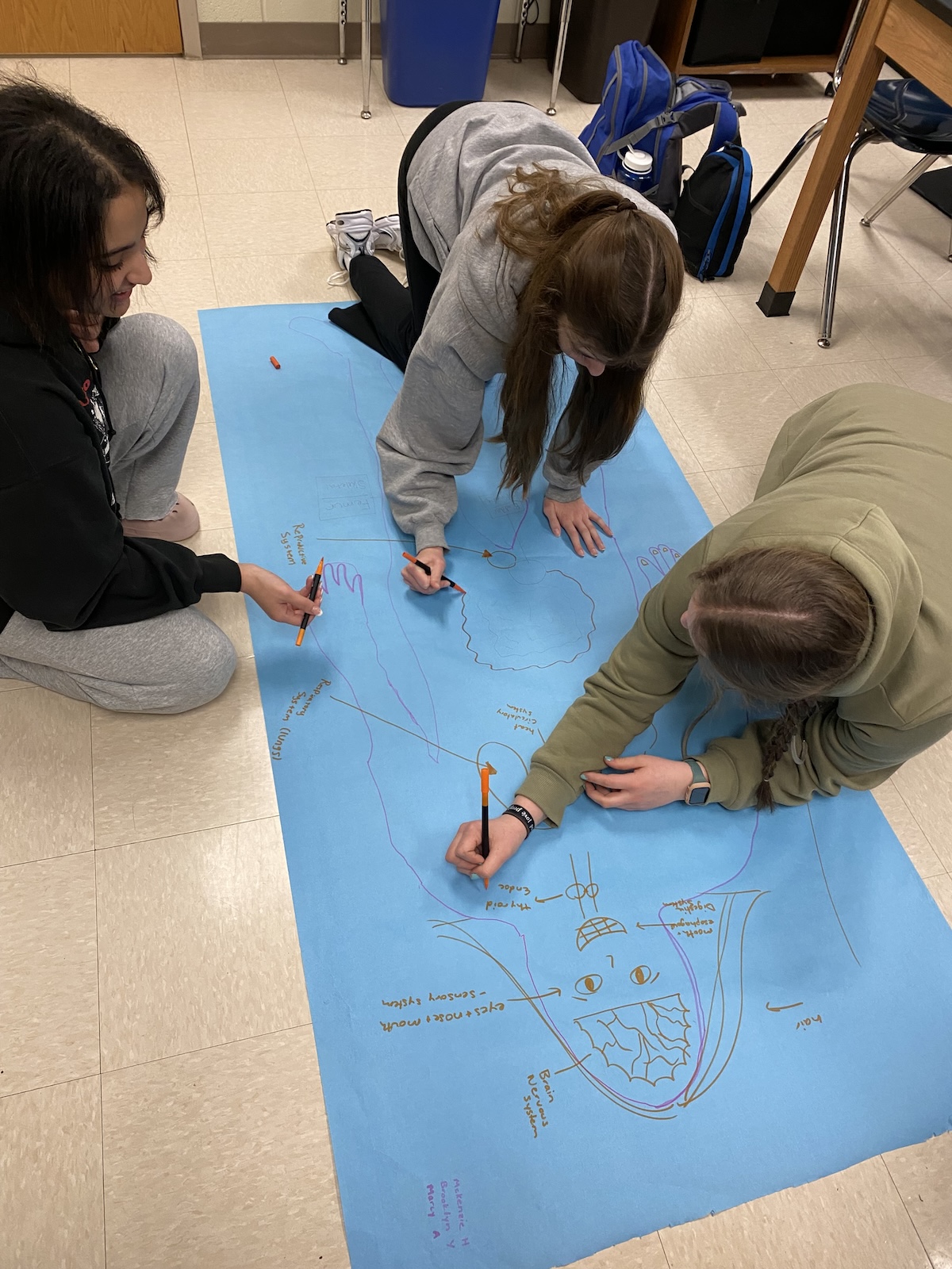 MRHS Health Science II Students Locating Body Systems Union County
