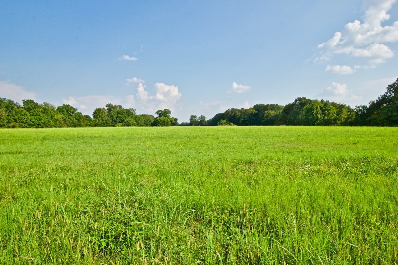 Louisiana Ranches for Sale Premier Ranch Real Estate UC Ranch