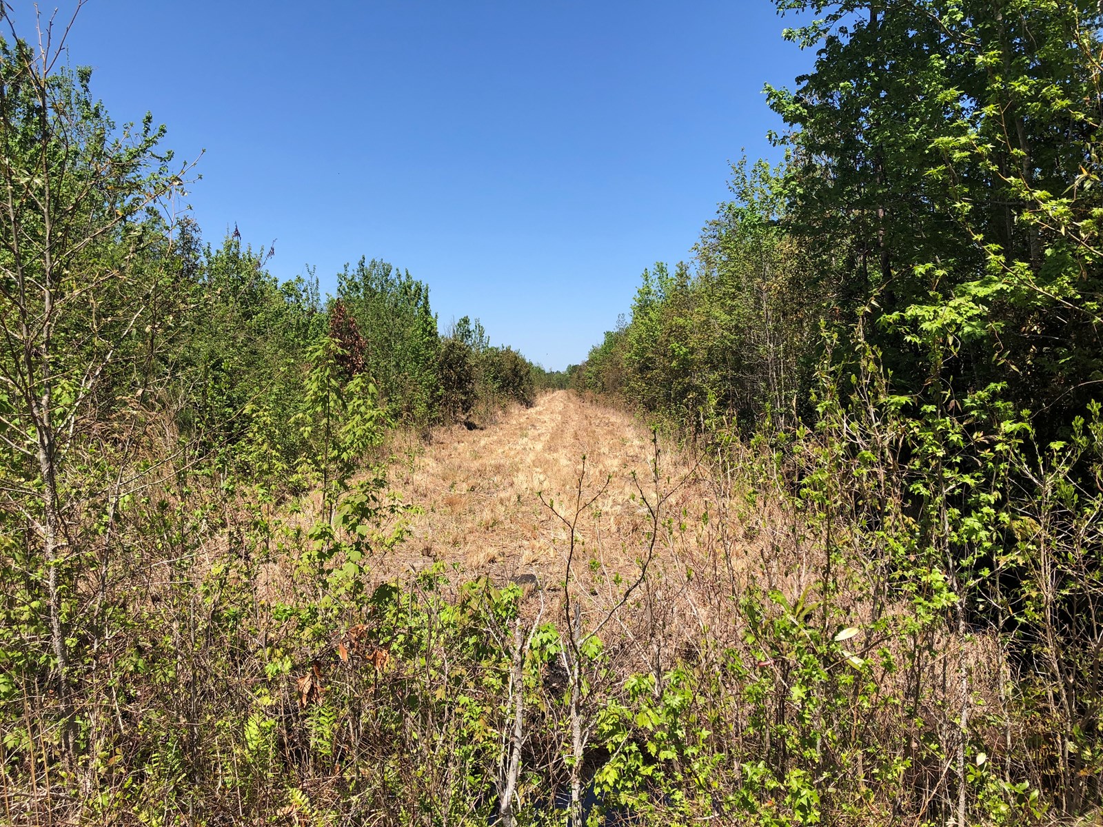 North Carolina Mountain Ranches For Sale at Edward Daniels blog