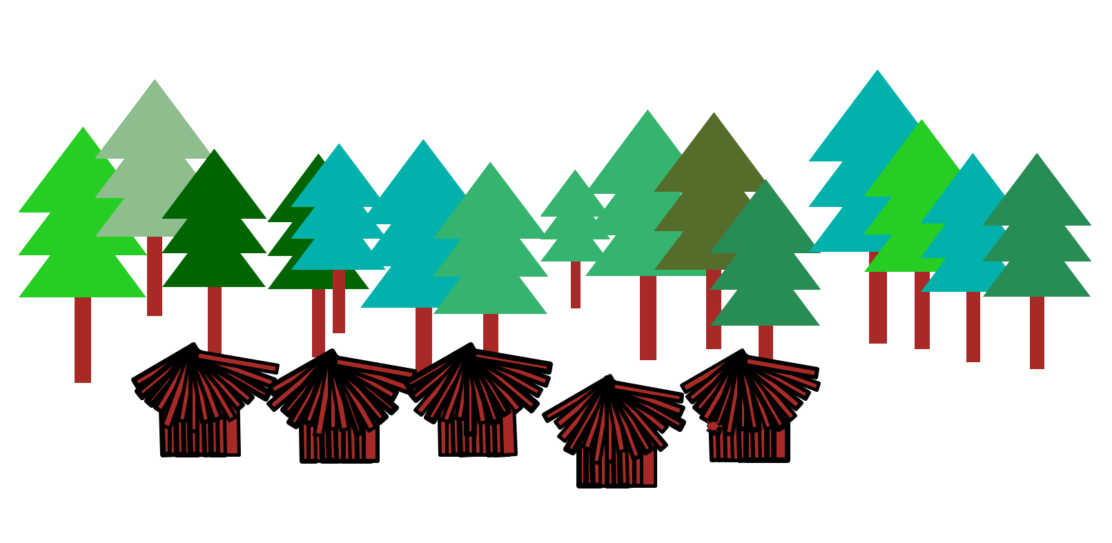 project01 Project01 Turtle Graphics Scene from a forest
