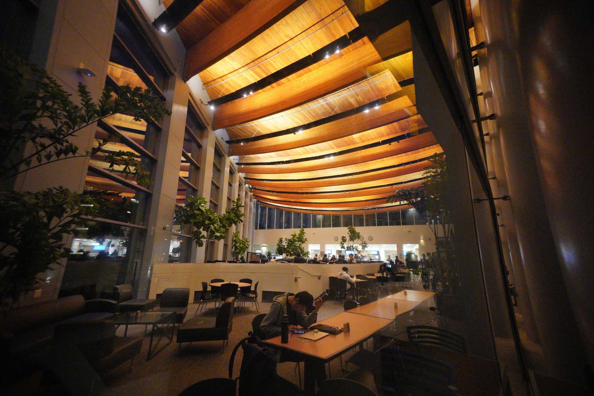 New HDH Policy Will Allow Dining Dollars to Roll Over The UCSD Guardian