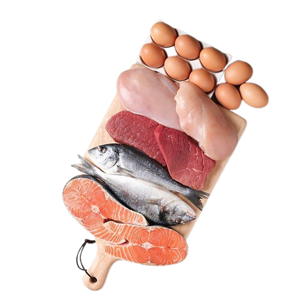 Home Udaipur Meat House