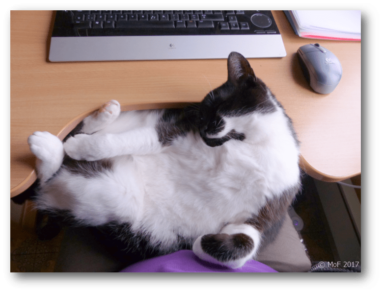 sifferexercis Uddmors betraktelser