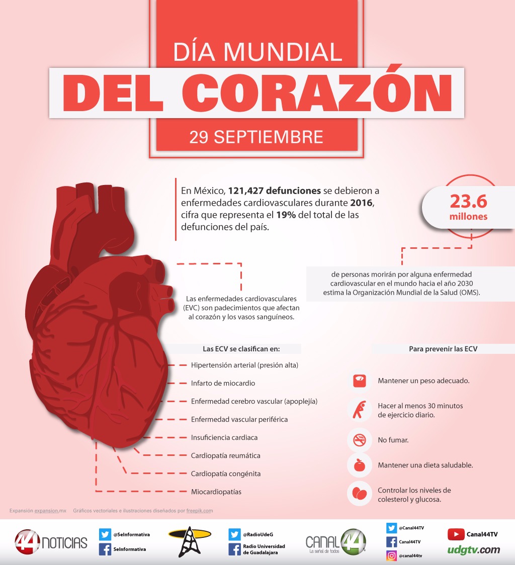 Infografía Día mundial del Corazón UDG TV