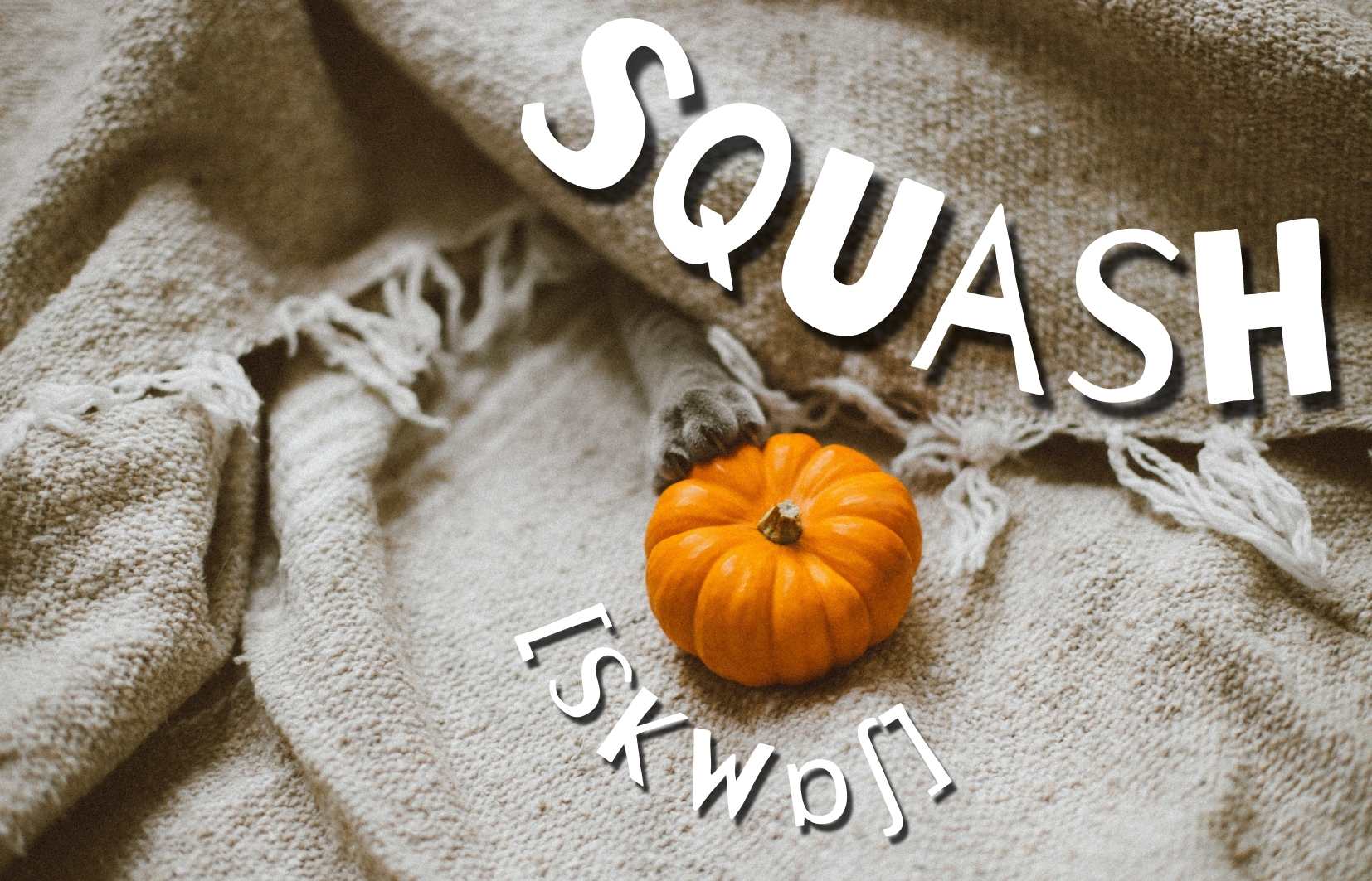 [Vocabulary] Squash UDictionary