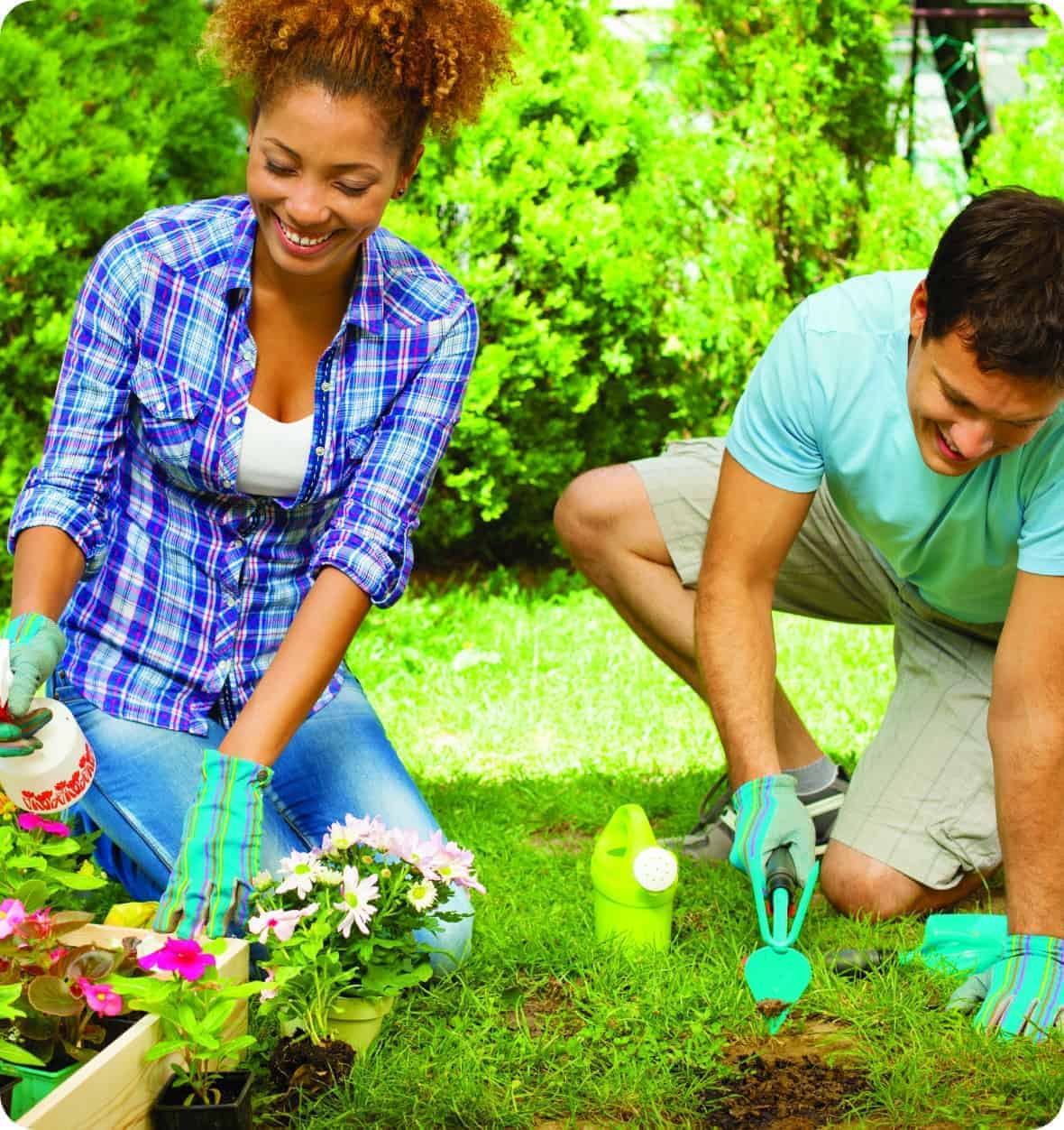 DIYer Resources - UDig NY