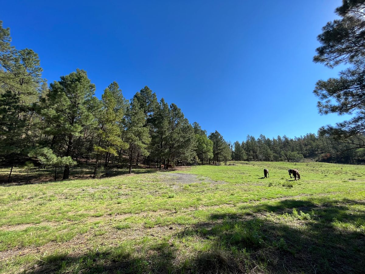 Inn of the Mountain Gods Resort & Casino Mescalero, NM UDisc Disc