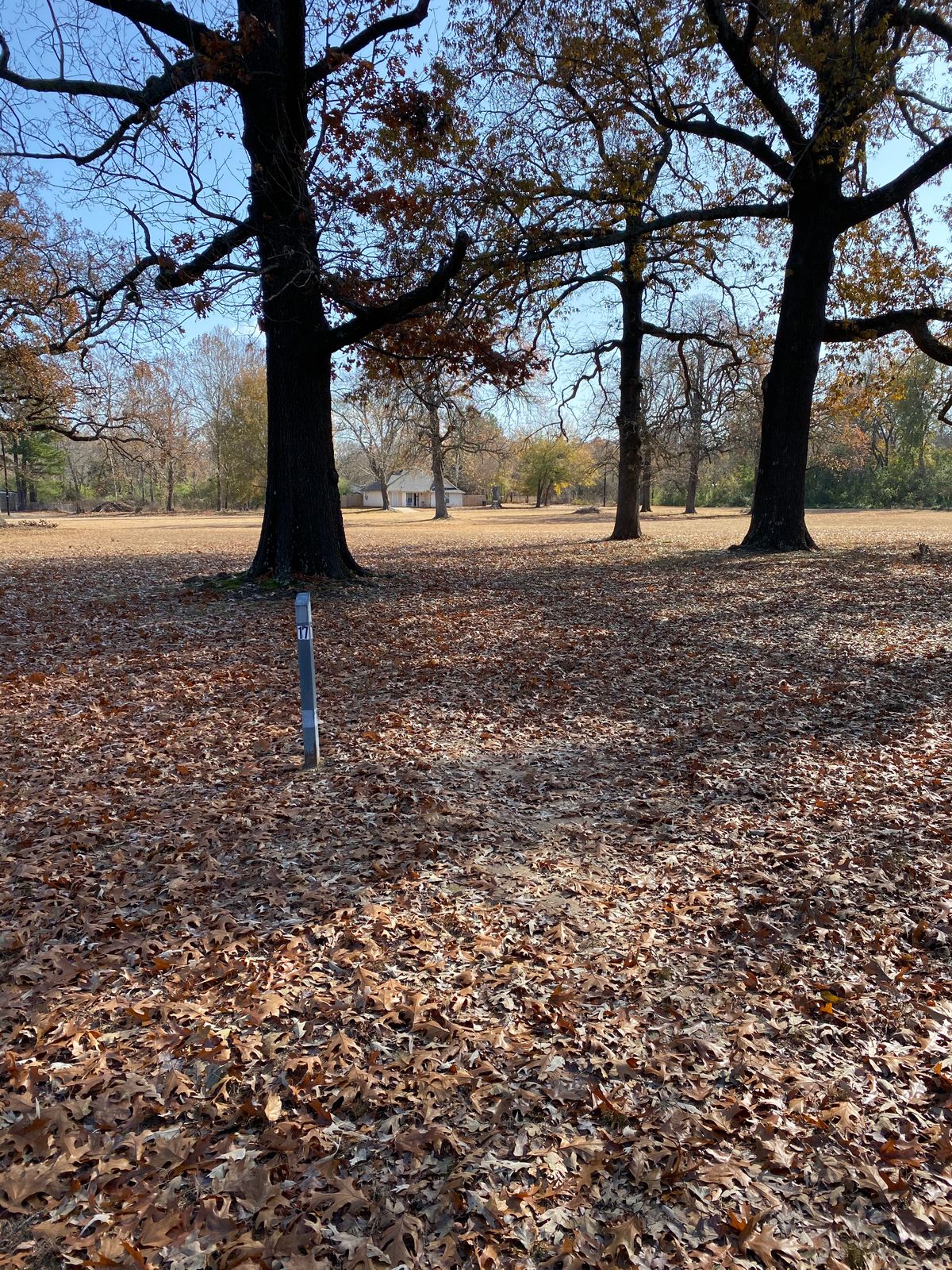 Walker Park Paris, TX UDisc Disc Golf Course Directory