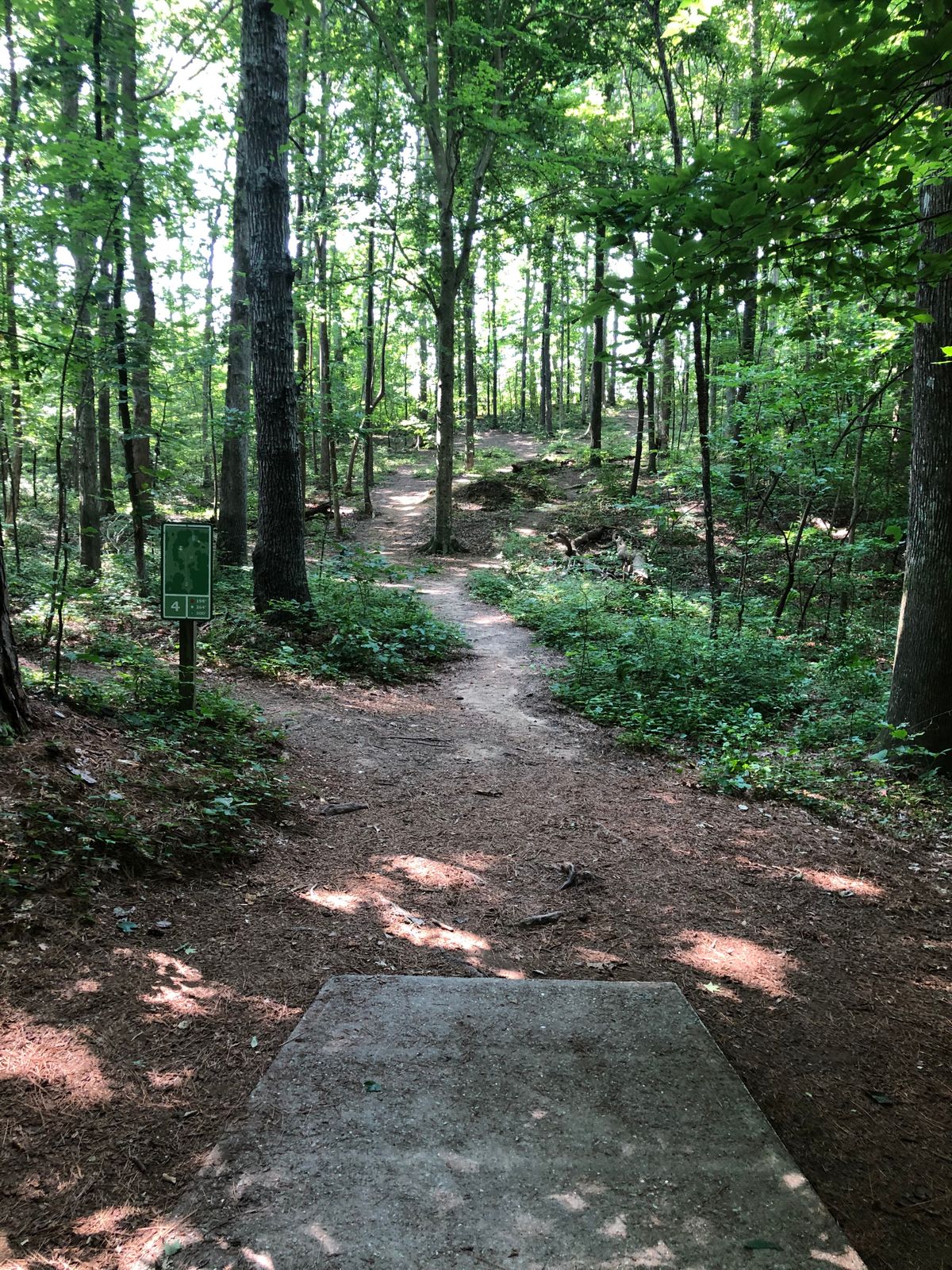 Dogwood at Southern Community Park Chapel Hill, NC UDisc Disc Golf