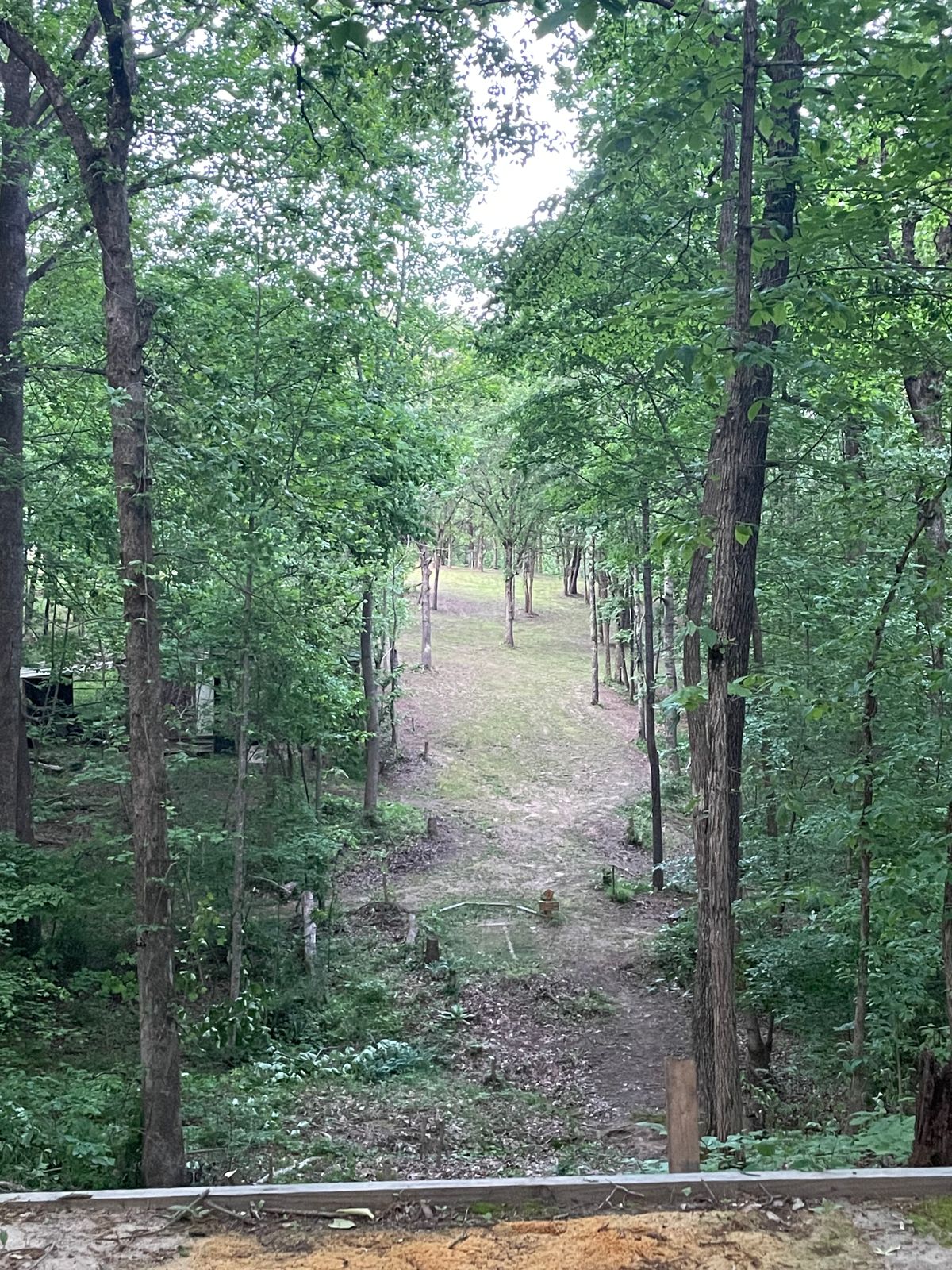 J&B Rolling Hills South Jacks Creek, TN UDisc Disc Golf Course