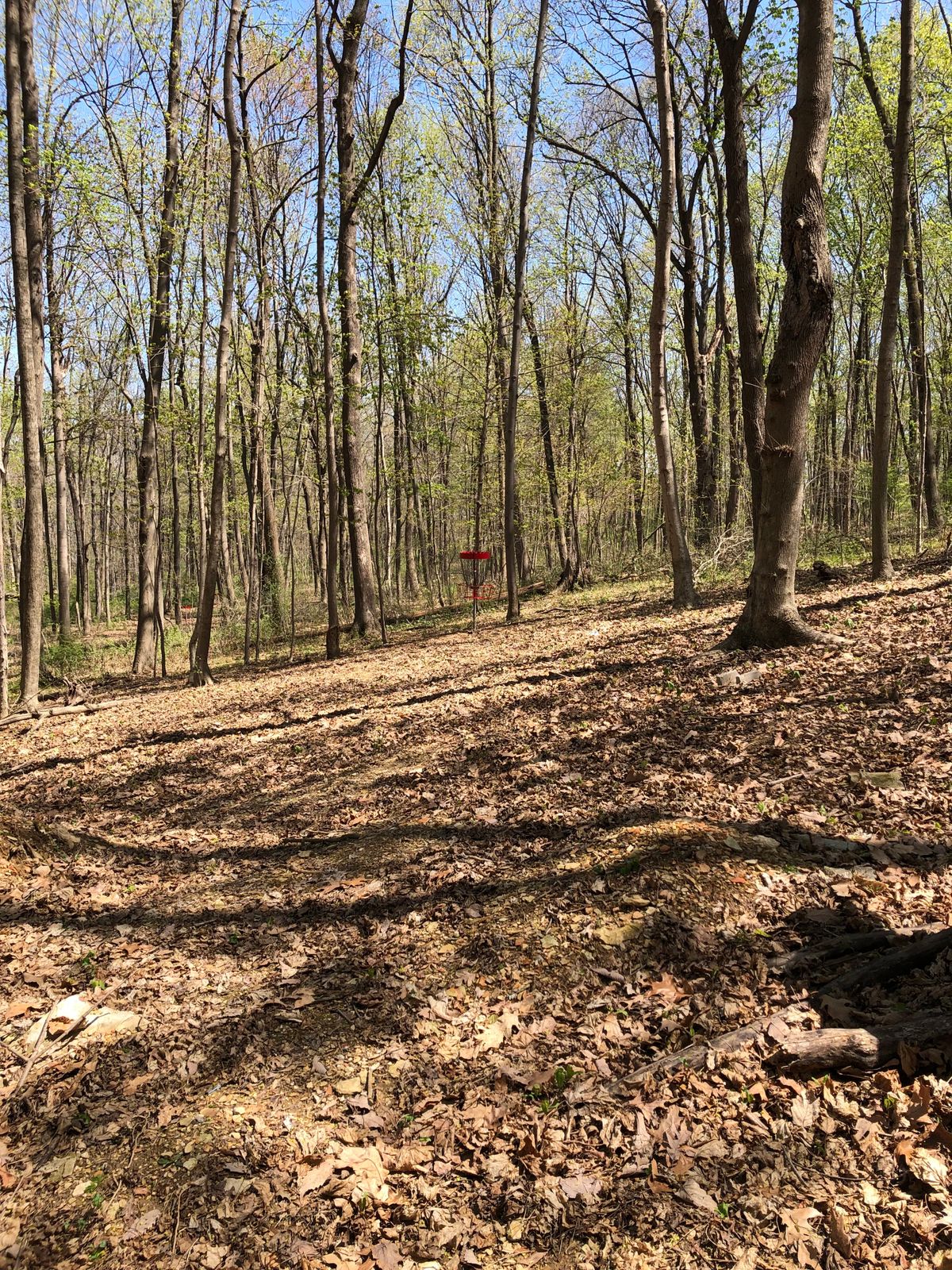 Penn Grove Retreat Hanover, PA UDisc Disc Golf Course Directory