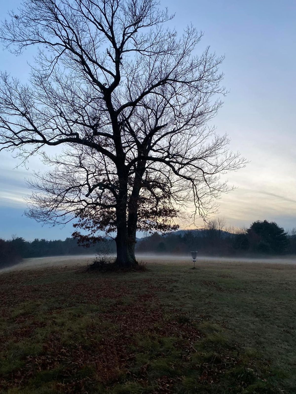 The Barn Simsbury, CT UDisc Disc Golf Course Directory