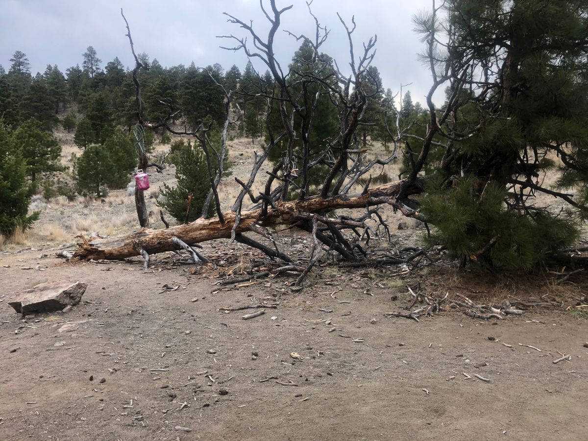 Scratch Gravel Hills (Objects) Helena, MT UDisc Disc Golf Course