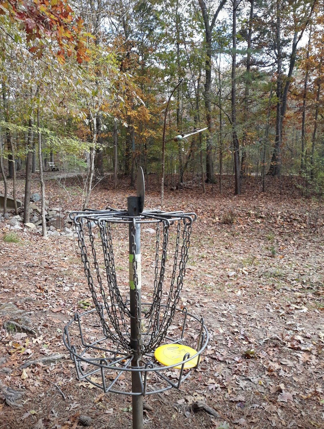 Cornwallis Road Park Durham, NC UDisc Disc Golf Course Directory
