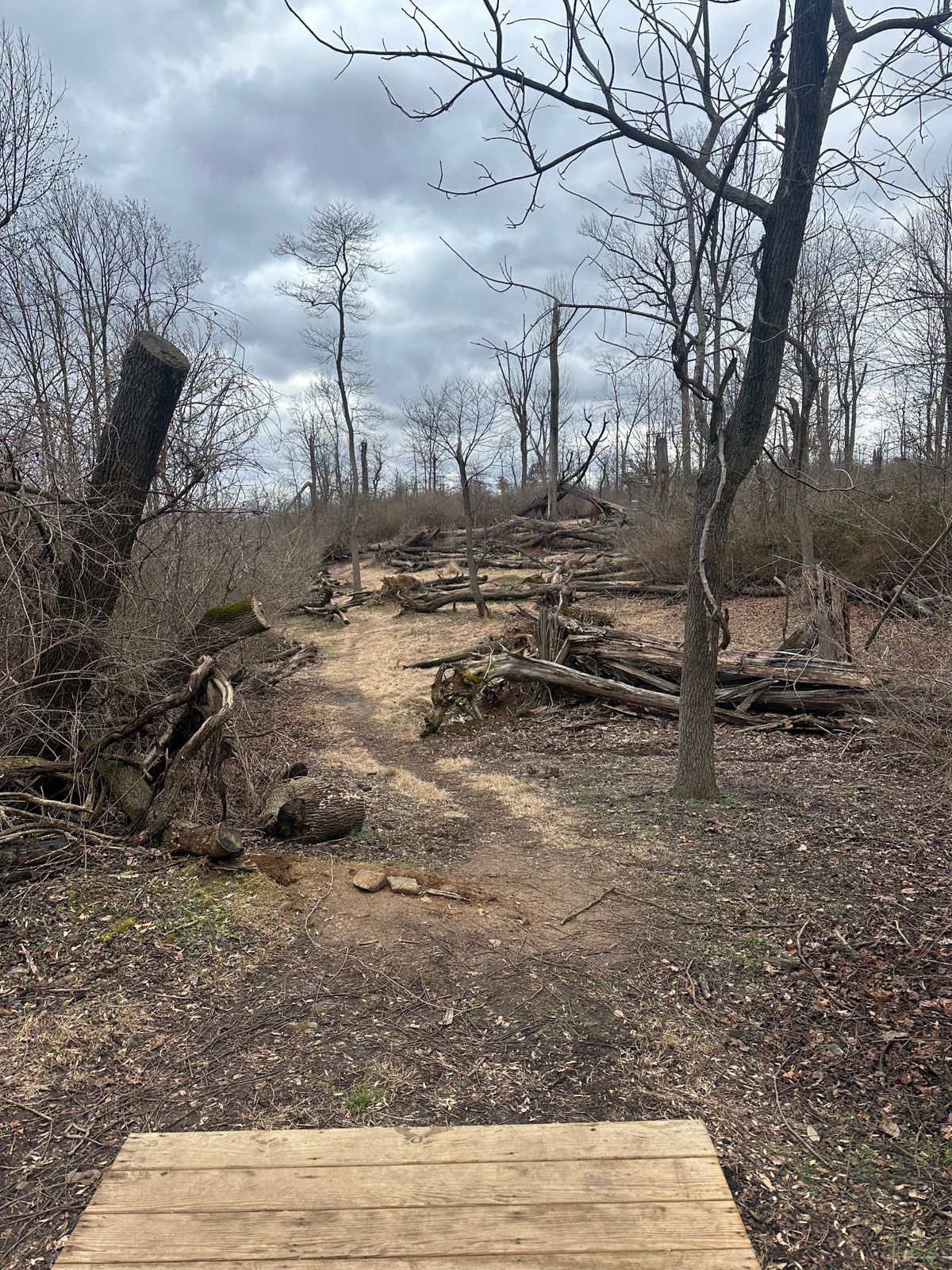 Thornbury Glen Mills, PA UDisc Disc Golf Course Directory